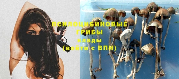 наркотики Алексеевка