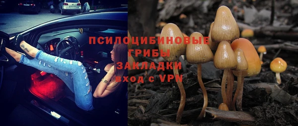 трава Алексин