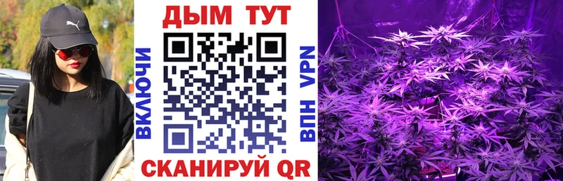 Марихуана OG Kush Геленджик